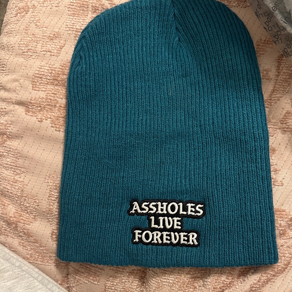 Teal Beanie with Bold Patch Assholes Live Forever
